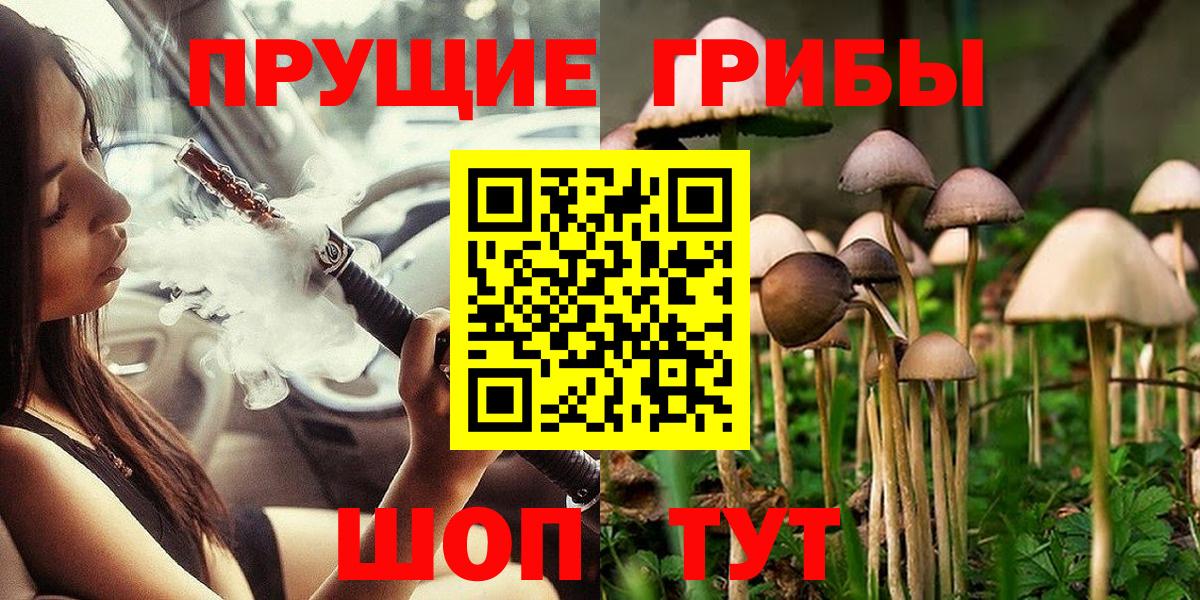 Псилоцибиновые грибы мицелий  Вход с VPN  где продают   Кызыл 