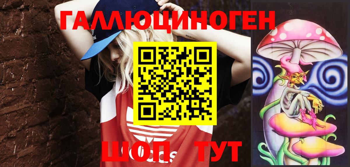 Псилоцибиновые грибы Psilocybine cubensis Кызыл
